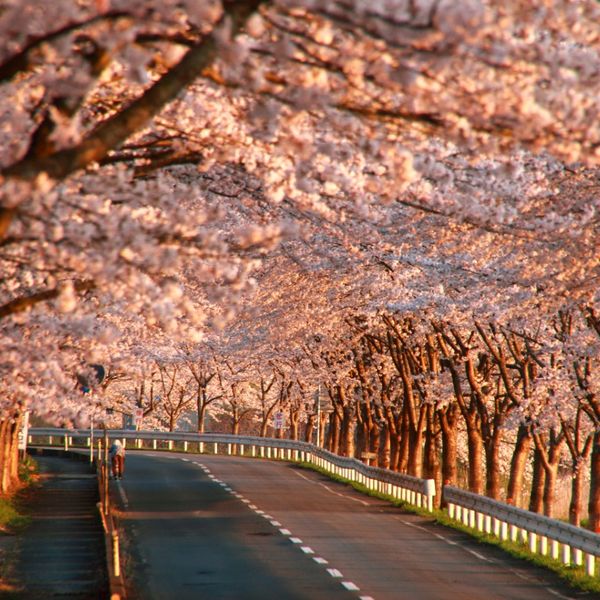 城山公園 - おすすめ画像