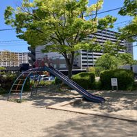 にれのき公園 - 投稿画像2
