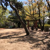 山畑公園 - 投稿画像1