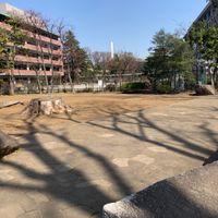 昭栄公園 - 投稿画像1