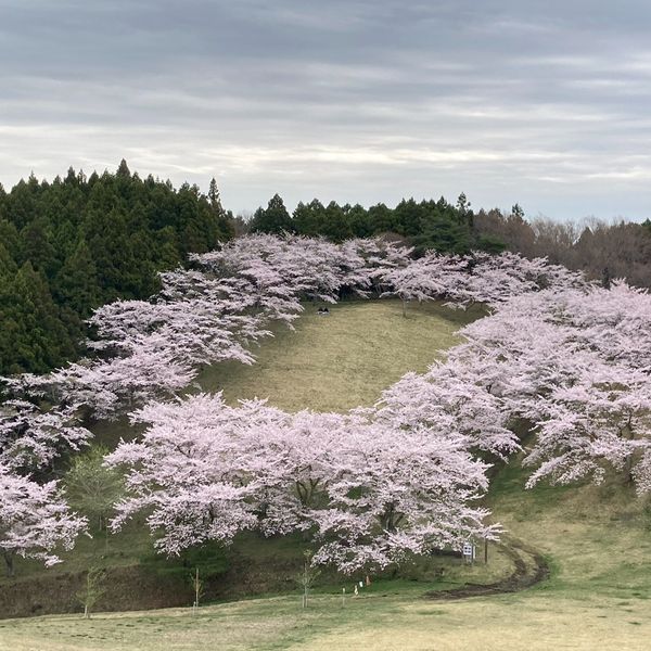 加護坊山 - トップ画像