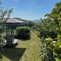 ふるさとの森21公園 - 投稿画像1