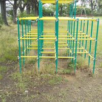 稗田都市緑地(条里の森） - 投稿画像1