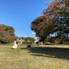 木場公園 - トップ画像