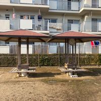 島崎公園 - 投稿画像2