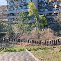 垂水上池公園 - 投稿画像2