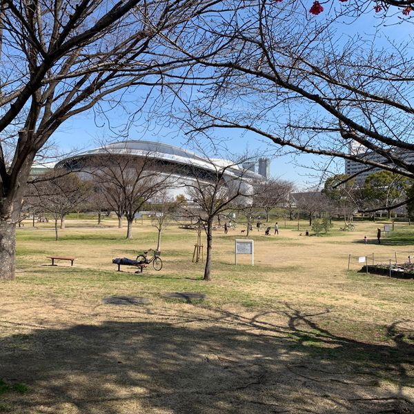 八幡屋公園 - トップ画像