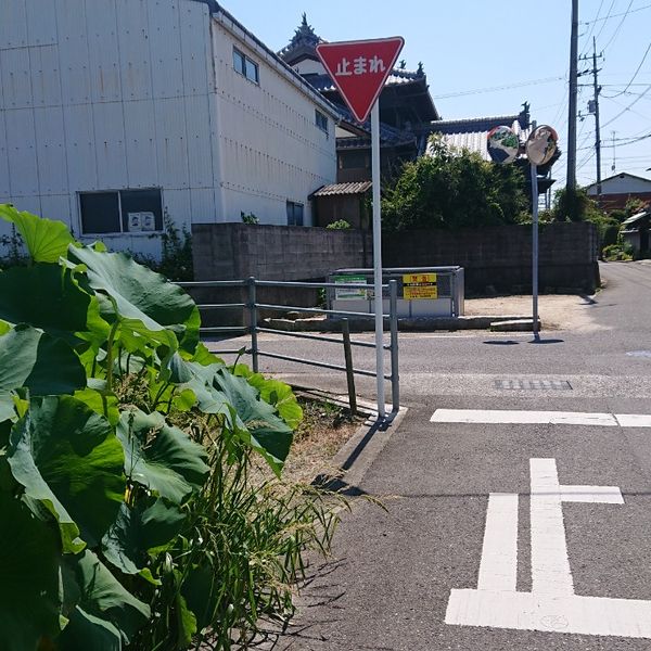 浜手公園近くから鳥生大浜八町線への道路 - おすすめ画像