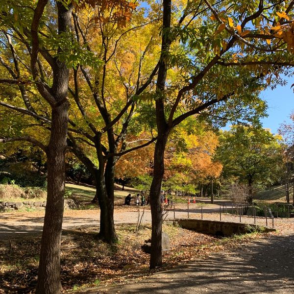 牛久保西公園 - トップ画像