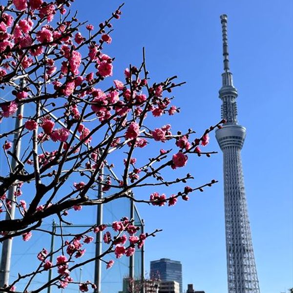 台東リバーサイドスポーツセンター - おすすめ画像