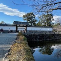 小田原城跡 - 投稿画像0