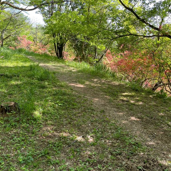 滝山公園 古峰の道 - トップ画像