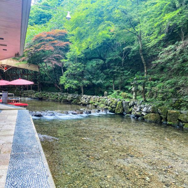 貴船 水源の森 天山 - おすすめ画像