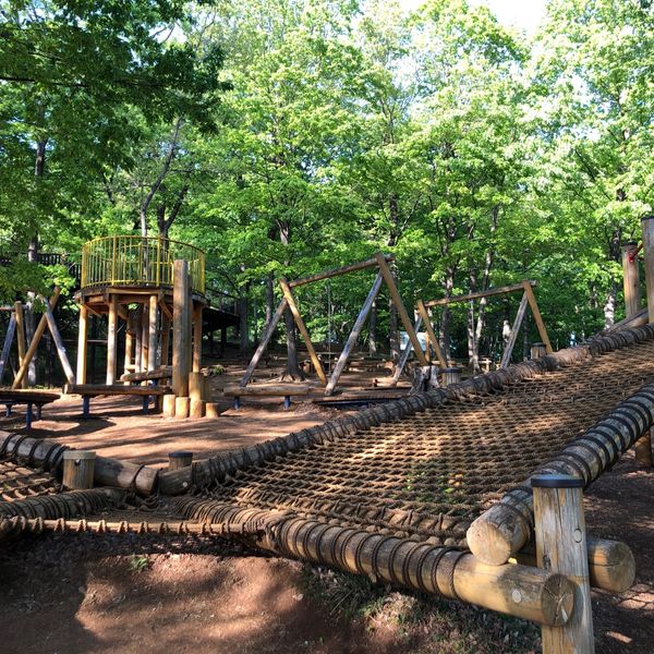 野山北・六道山公園 冒険の森 - おすすめ画像