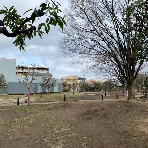 川崎国際交流センター - トップ画像