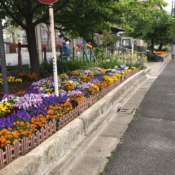 白鳥南公園 - トップ画像