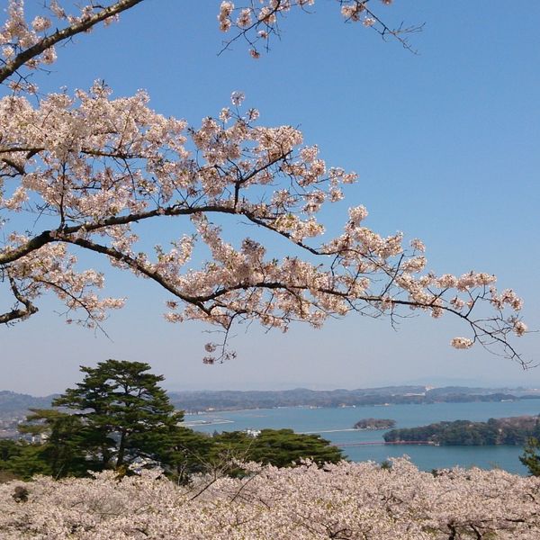 西行戻しの松公園 - トップ画像