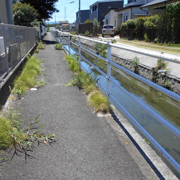 城東保育所前の川 - おすすめ画像