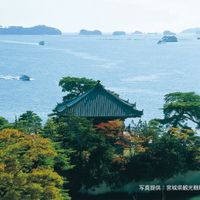 松島（松島島巡り観光船） - 投稿画像2