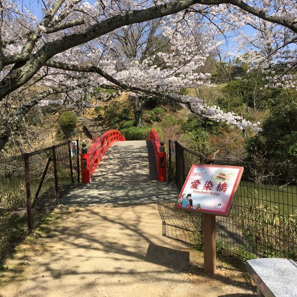 Aizen-bashi (Jembatan Aizen) - トップ画像