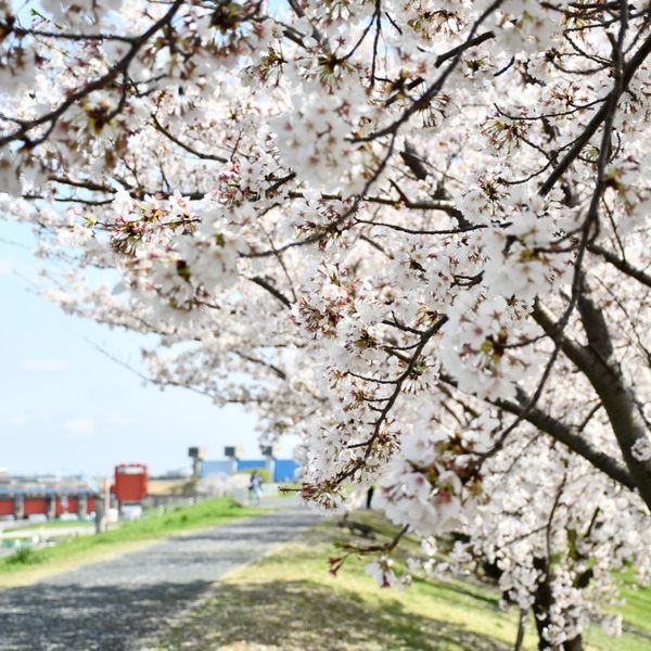 荒川緑地 - おすすめ画像