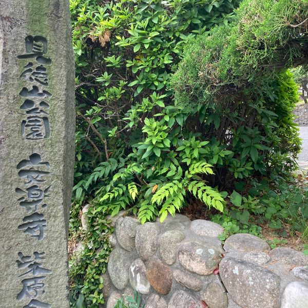柴原公園 - おすすめ画像
