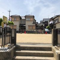 樫原 - 投稿画像0