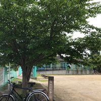 石塚第2児童遊園 - 投稿画像0