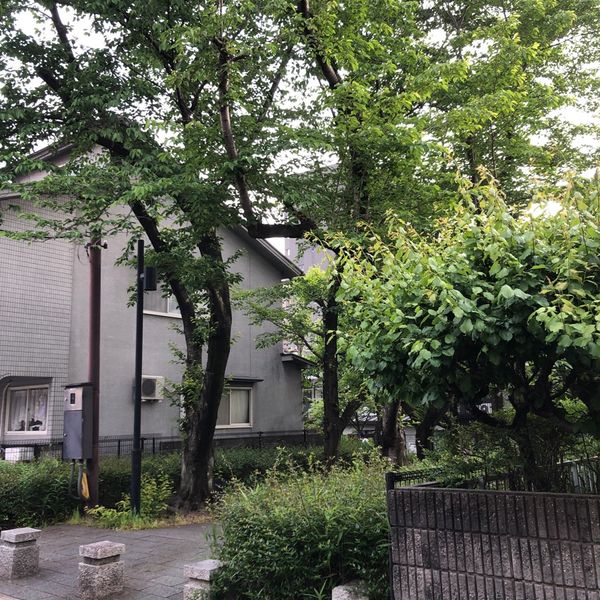 北山田公園 - おすすめ画像