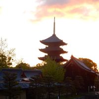 東寺 - 投稿画像2