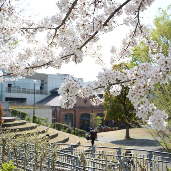 北区立中央図書館 - おすすめ画像