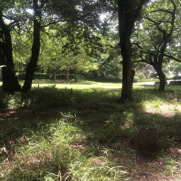 四季の森公園 ちびっこ広場 - トップ画像