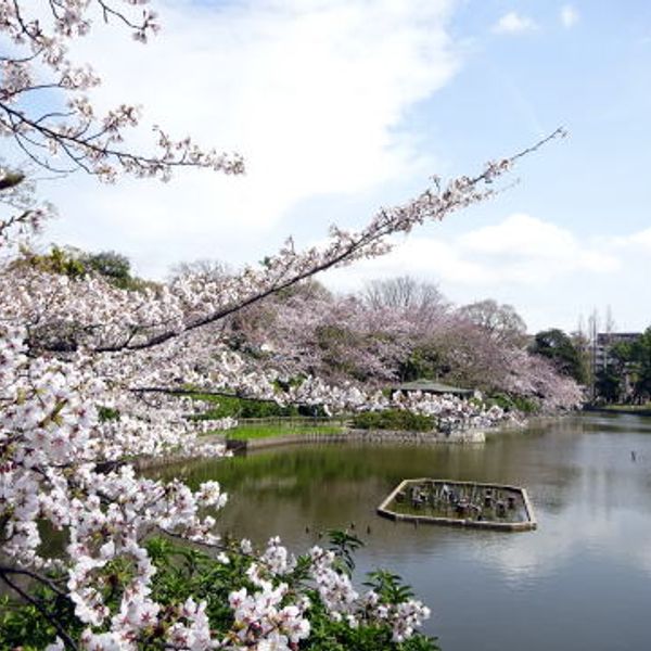 亀城公園 - おすすめ画像