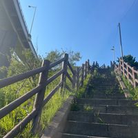 白鳥大橋展望広場公園 - 投稿画像1