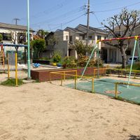 新いずみ公園 - 投稿画像0
