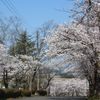 愛宕山公園 - トップ画像