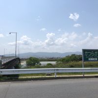 桂川緑地久我橋東詰 - 投稿画像0