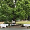 芝山公園 - トップ画像