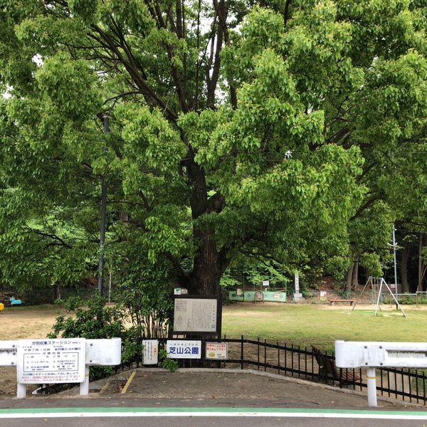 芝山公園 - おすすめ画像