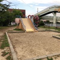 豊中古池公園 - 投稿画像2