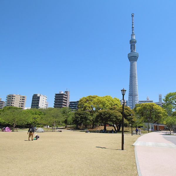 隅田公園 - おすすめ画像