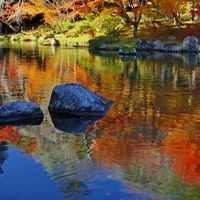 3つの池と浮御堂（成田山公園） - 投稿画像2