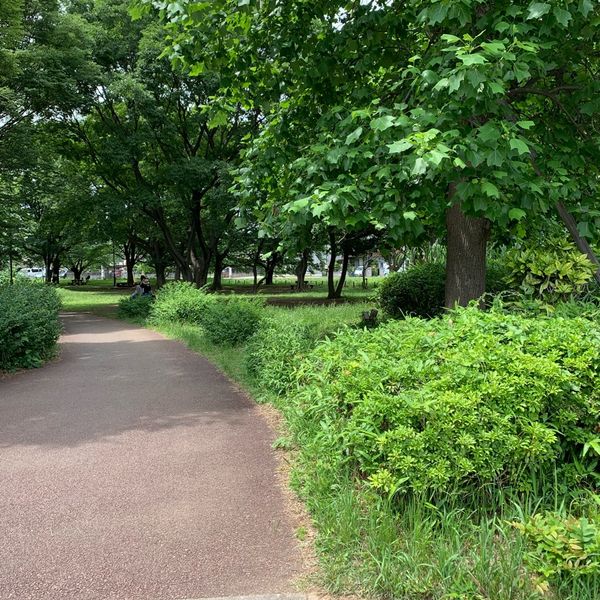 大木島自然公園 - おすすめ画像