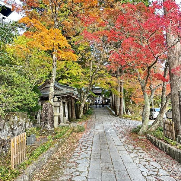 Choan-Ji (Temple Choan) - おすすめ画像