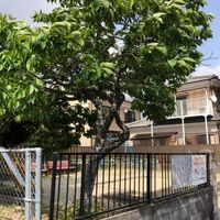 堀口第6幼児公園 - 投稿画像0