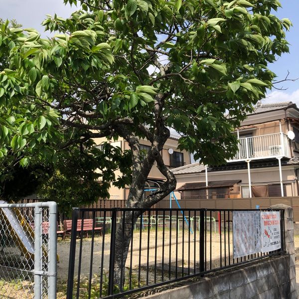 堀口第6幼児公園 - おすすめ画像