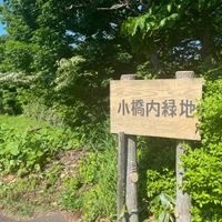 小橋内緑地 - 投稿画像1