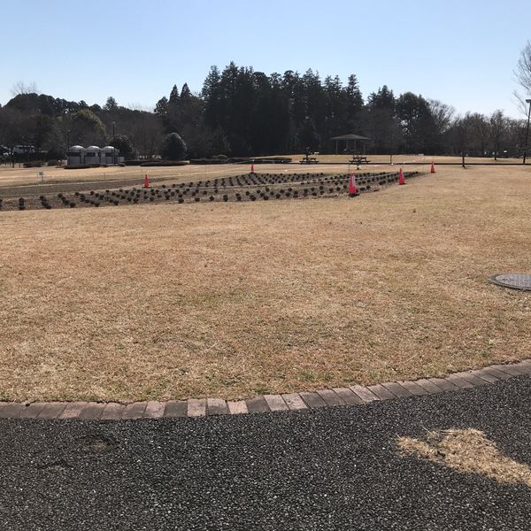 北総花の丘公園 花の広場 - トップ画像