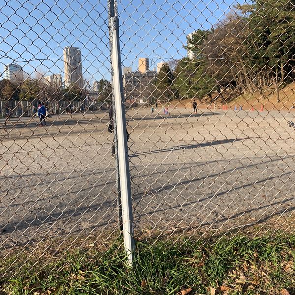 都立青山公園　多目的広場 - トップ画像