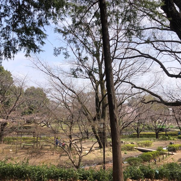 世田谷区　祖師谷公園 - おすすめ画像